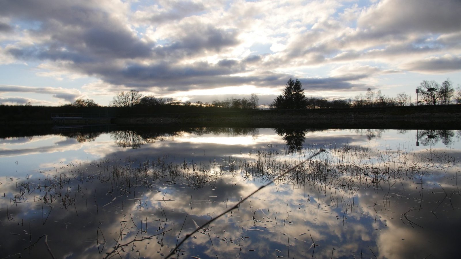 Life coaching can aid in finding stillness