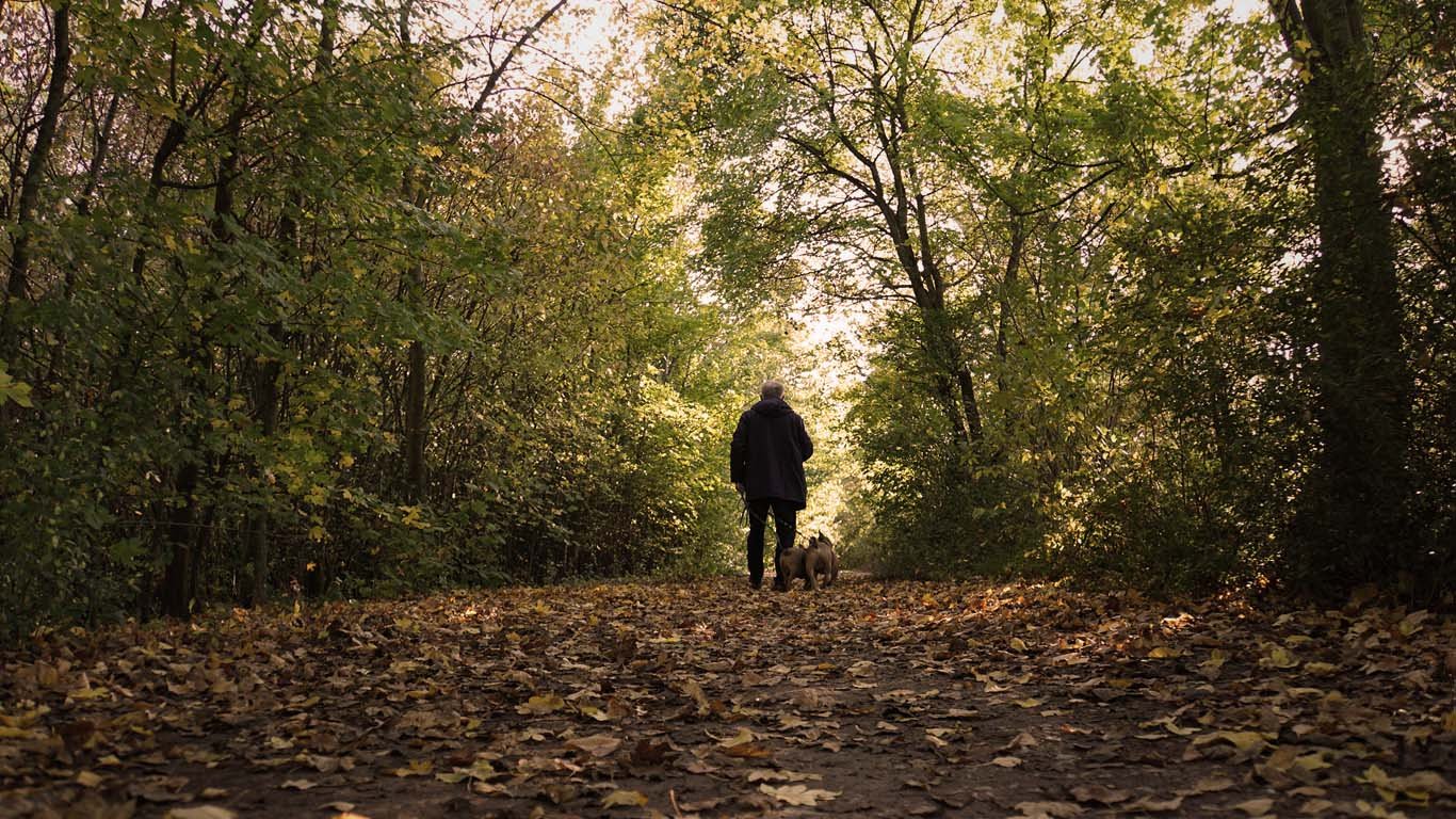 Man and dog in the woods